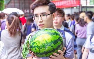 公办学校吃瓜,吃瓜群众的美食探秘之旅